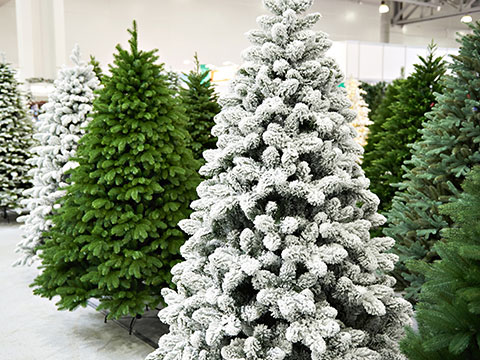 Kerstbomen en kerstboomvoeten