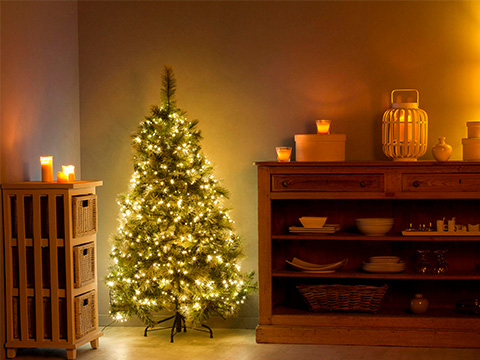 Kerstverlichtingen