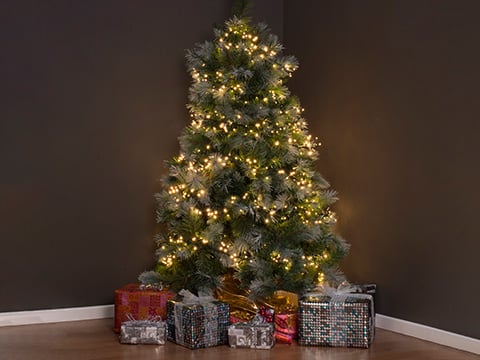 Kerstboomverlichting