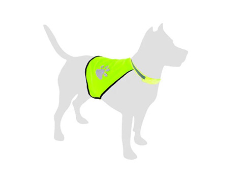 Dierenkledij