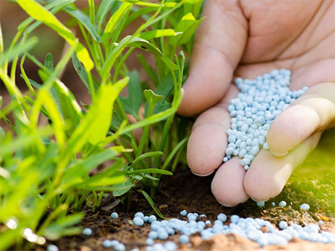 Tuinverzorging en beplanting
