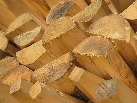 Palen