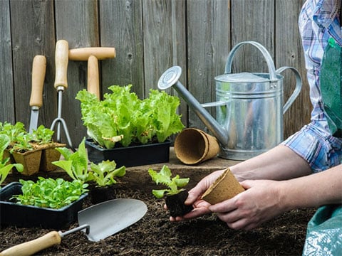 Handtuingereedschap