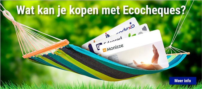 Ecocheques