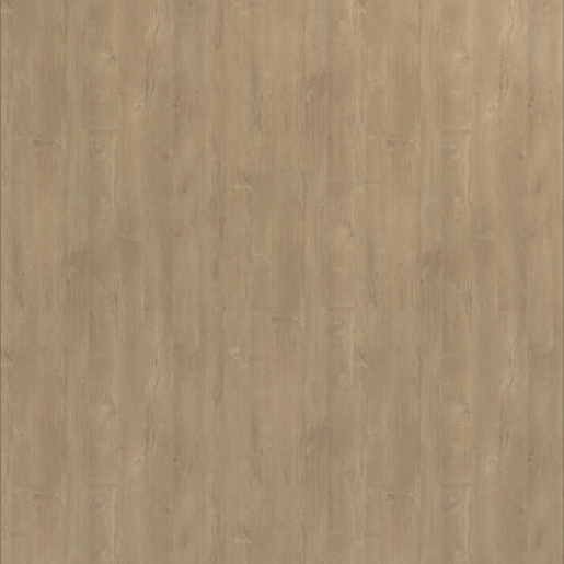 H878 BST Paruma Oak