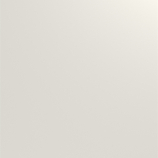 025 CST Front white