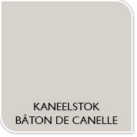 Verfkleur kaneelstok