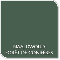 Verfkleur naaldwoud