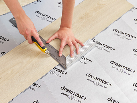 DreamClick systeem