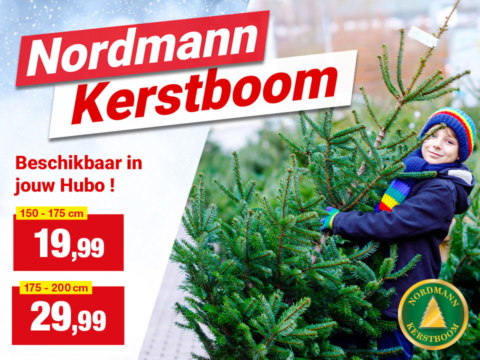 Nordmann kerstbomen