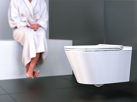 Japans toilet Cesari