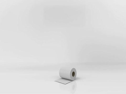 Japans toilet Cesari ecologische voetafdruk