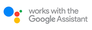 Google Assistant