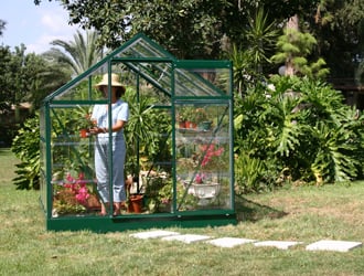 Planten kweken in serre