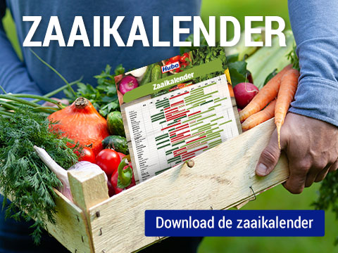 Zaaikalender