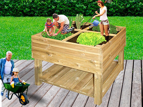 Start met jouw vierkante meter moestuin