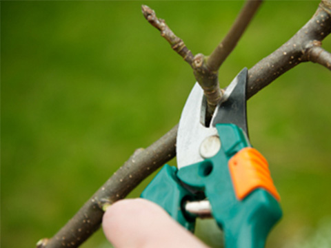 Handtuingereedschap