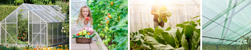 Planten kweken in een serre sfeerbeeld