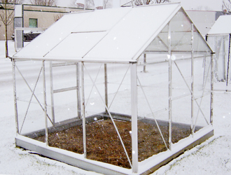 Planten kweken in een serre in de winter
