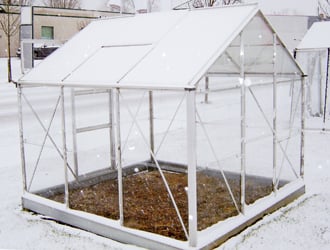 Planten kweken in een serre in de winter