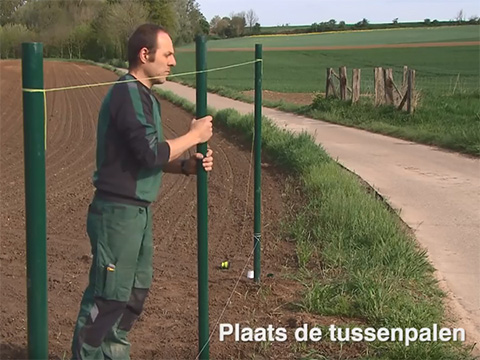 Tussenpalen plaatsen