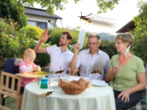 Wespen aan tafel in de tuin