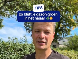 gazon onderhouden