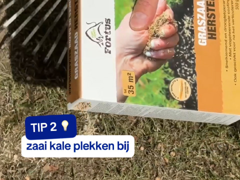 bijzaaien
