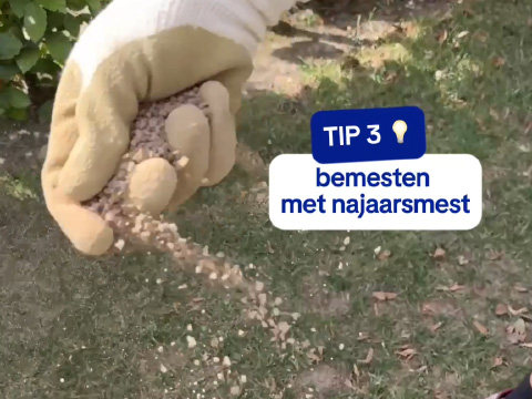 najaarsmest