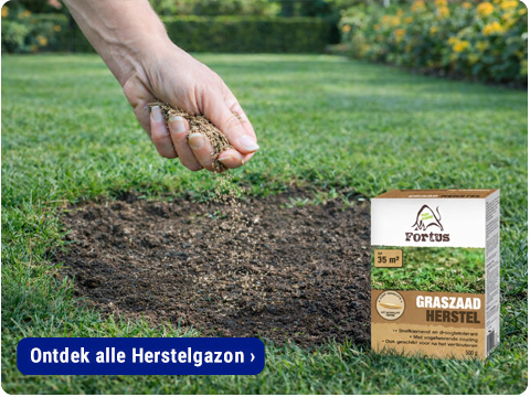 herstelgazon