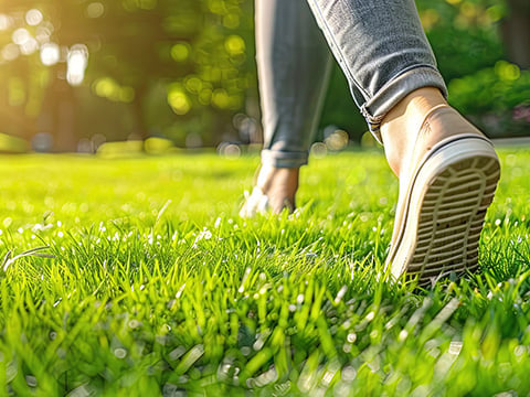 Niet op gras lopen