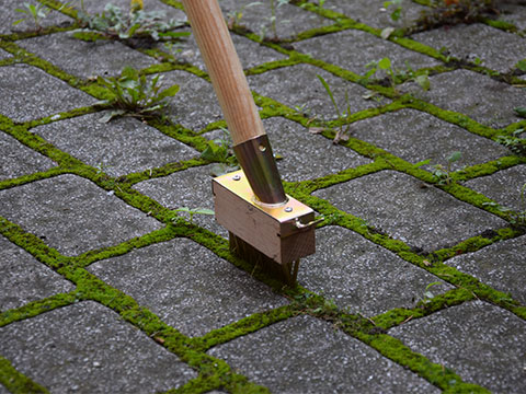 Onkruid verwijderen met houten onkruidborstel