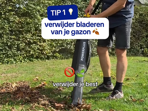 bladeren verwijderen