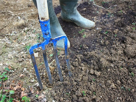 Moestuin bemesten