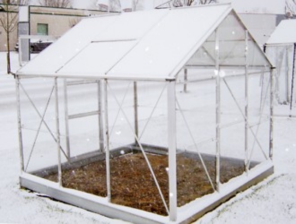 Planten kweken in serre 