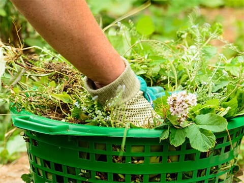 Tuinonderhoud