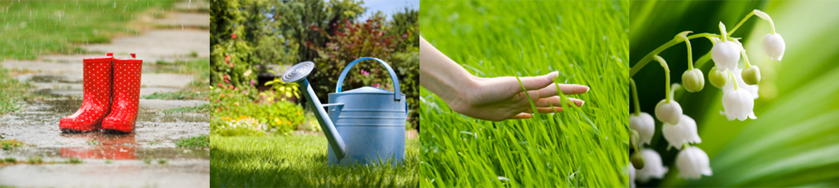 Tuinonderhoud voorjaar
