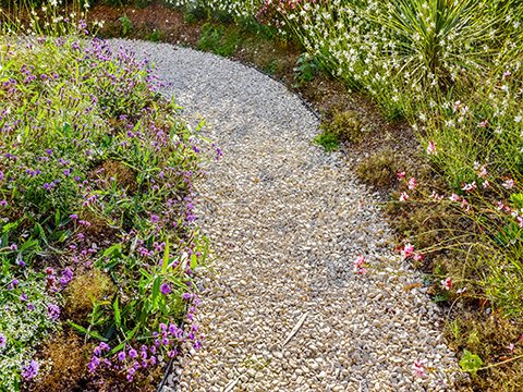waterbesparende tuin