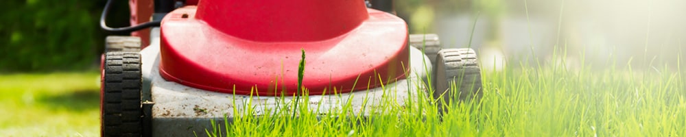 Gras maaien