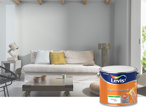Levis EasyClean muurverf