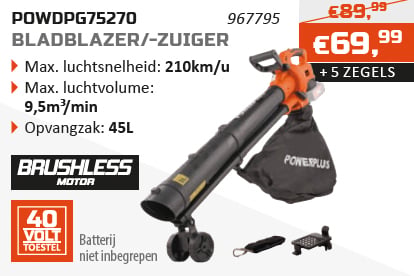 Dual Power spaaractie Bladblazer-/Zuiger