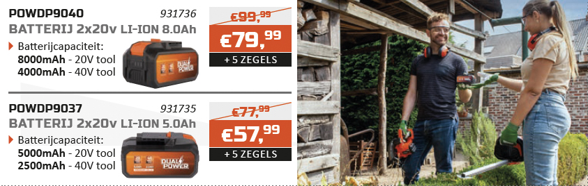 Dual Power spaaractie Batterij 2x20v