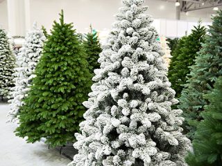 Bederven Interactie expositie Koop je Nordmann kerstboom vanaf 2 december bij Hubo | Hubo