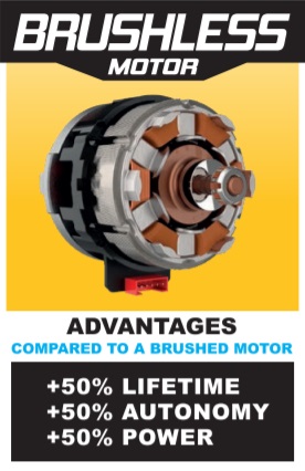 Brushless motor