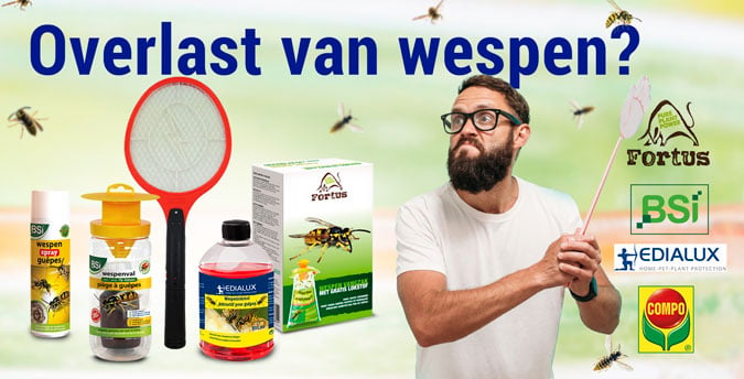 Overlast van wespen